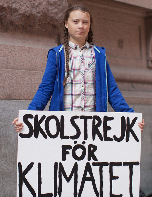 There's No Place Like Home - Gris. Publié pour la Journée mondiale de l'environnement 2020 - Bambi